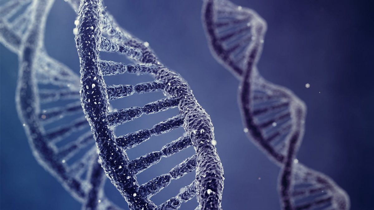 Episode 118 – There’s Too Much Information for Evolution to Be True