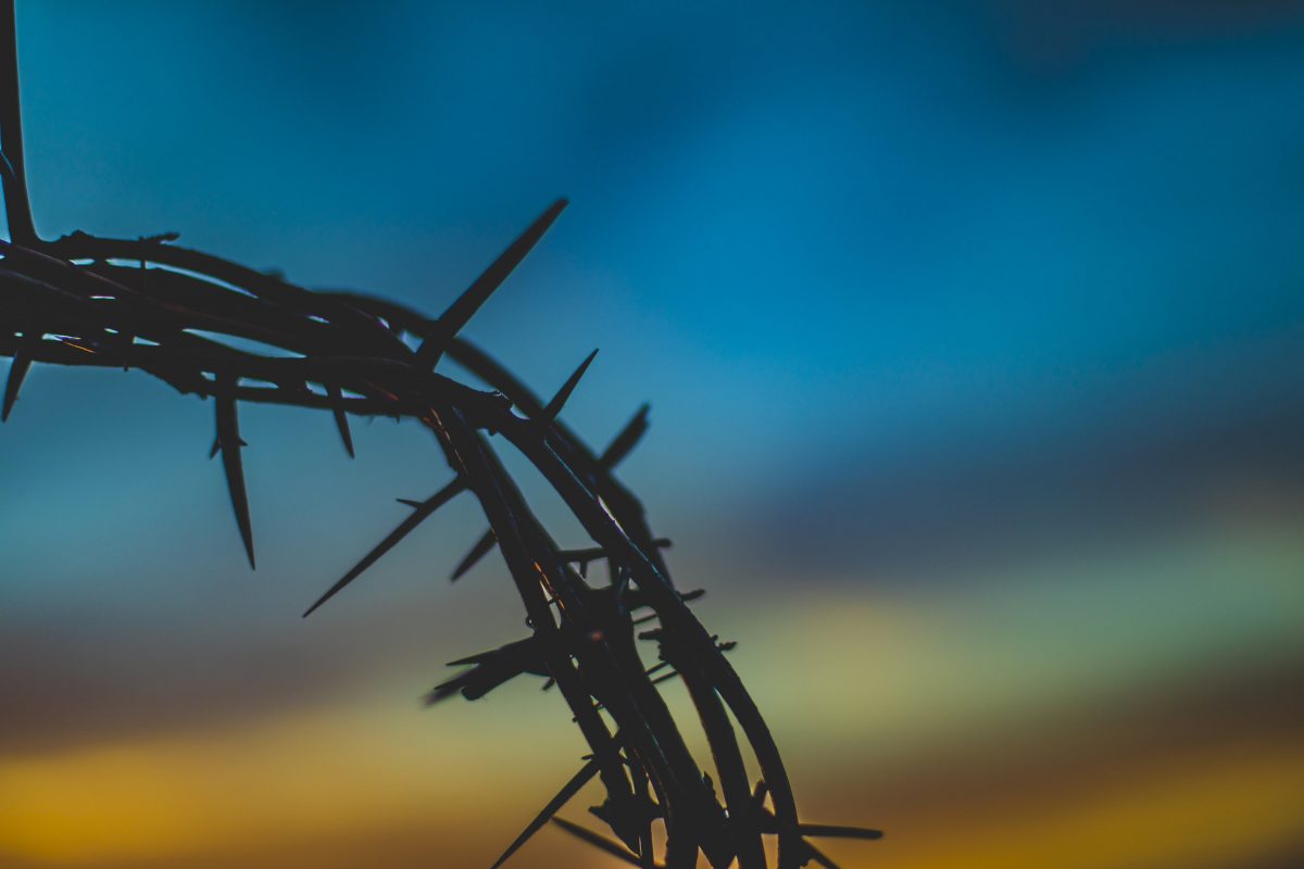 Episode 203 – Where Does The Bible Say Jesus Is God?
